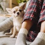 Zítra Nova vysílá film, který miluje celé Česko. Kdo ho prošvihne, bude si to dlouho vyčítat