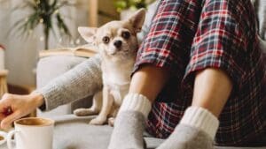 Zítra Nova vysílá film, který miluje celé Česko. Kdo ho prošvihne, bude si to dlouho vyčítat