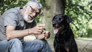 Rezervujte si zítřejší večer. ČT 1 vysílá nejlaskavější film o rozpadu manželství. Bartoška nikde nebyl krásnější