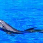 Vykoupení z věznice Shawshank. Zítra vysílá Nova Cinema  nejdojemnější film s Morganem Freemanem. Popláče si celá rodina