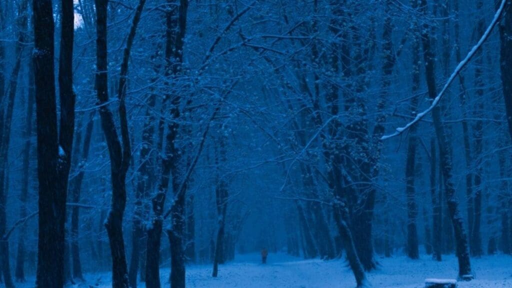 Gotický horor s DiCapriem má první snímky z Čech. Tahle pecka zaútočí na Oscara