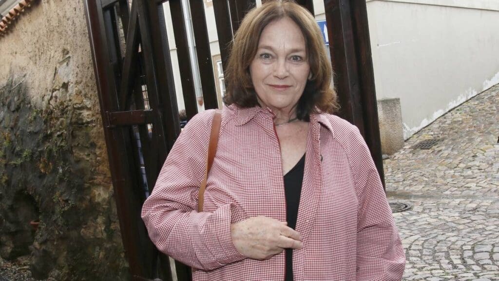 V zájmu dítěte: Temný seriál z prostředí sociálních pracovníků míří na ČT. Otevře případy, o kterých se mlčí