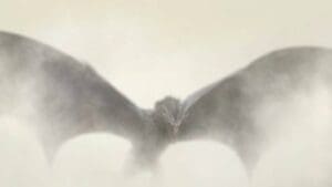 Hra o trůny jako filmový blockbuster: Stane se bývalý Superman Aegonem Dobyvatelem?