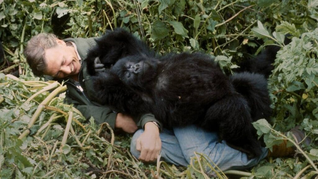 Nová pecka na Netflixu: Příběh o gorile vyprávěný Davidem Attenboroughem vám změní pohled na svět. Doslova