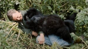 Nová pecka na Netflixu: Příběh o gorile vyprávěný Davidem Attenboroughem vám změní pohled na svět. Doslova